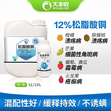 大丰收 12%松脂酸铜细菌性角斑病剂水果果树杀菌剂 10L