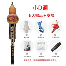 舒弗（LACHOUFFE）防摔葫芦丝乐器初学者C调小d天然成人入门零基础小学生 小d调+礼包+皮盒