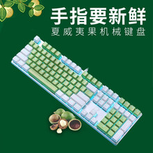 达尔优 EK815机械合金108键双色机械键盘 电竞游戏 家用办公（全键无冲 CF吃鸡LOL） 108键绿白色【红轴】