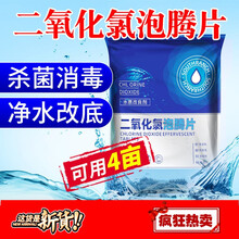 二氧化氯新品泡腾片鱼缸水族84消毒剂片净水观赏水产鱼用鱼塘虾蟹塘 【水产养殖】二氧化氯500g/袋【1袋可用3-5亩