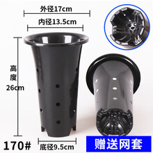 华香园 绿植花卉 兰花专用盆 带侧孔 透气兰花盆 塑料花盆 国兰君子兰春兰蕙兰墨兰建兰专用盆 兰花专用盆带侧孔D170# 1个