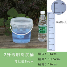 透明刻度桶10/20/2/5升消毒桶计量桶大小水桶带盖密封提水pp包装全新塑料桶 2升刻度桶透明款