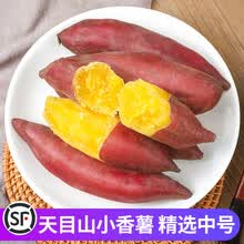 娇瑰 精选品质 中号5斤临安天目山板栗小香薯新鲜薯地瓜黄心蜜薯山芋【坏果包赔】