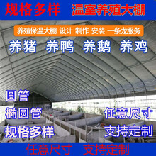 钢管全套鸡舍保温养猪养鸡场鸡棚鸭牛猪温室大棚户外 6米宽30米长含膜