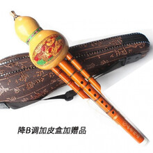 葫芦丝降b调c调凤尾竹真葫芦小学生成人儿童初学入门初学者乐器 降B调+赠品+盒子