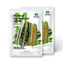 中科茂华瓜果种子中科99甜瓜种子花皮绿肉橘瓤薄皮9号类型干瓤超甜多汁100粒