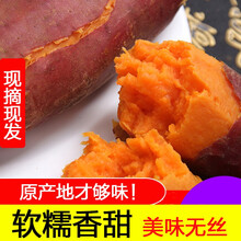 红薯湛江地瓜新鲜农家西瓜红蜜薯糖心沙地红心红薯 9斤 中果
