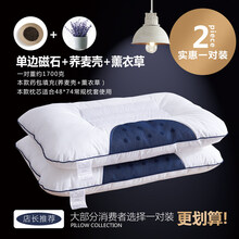 恒源祥同款家纺严选品质 决明子枕头单人荞麦皮护颈椎枕双人枕芯一对装整头成人家用v7 【一对装】单边+磁石+荞麦壳+薰衣草枕头