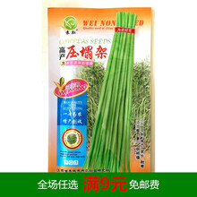 豆角种子长豇豆籽有架无架无鼠尾四季豆院阳台大田播种高产蔬菜孑 压塌架原装30克白条