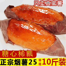 梓乐果 山东蜜薯糖心红薯新鲜10斤烟薯25号农家沙地番薯烤地瓜超甜小山芋 9斤 中果