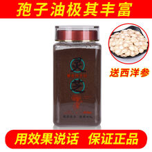 伟博长白山灵芝孢子粉力白山线油孢子粉 特级头道孢子粉（油花特多） 250克1瓶