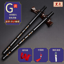 竹笛子小横便携式迷你初学无膜孔专业小型乐器随身者儿童定制 黑色无膜短笛(G调)赠基础配件