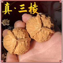 三棱核桃把玩天然野生小秋子手捻文玩核桃男士隨身手把件盤玩核桃