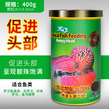 仟湖OCEAN FREE 罗汉鱼饲料罗汉起头增艳成长鱼粮寿星头红瑞神日增红罗汉鱼食套餐观赏鱼通用饲料 FF954寿星头 二代 中大粒400g