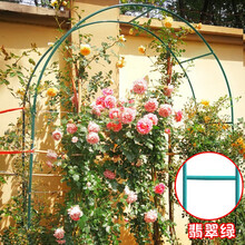 铁艺户外葡萄引路架拱门花架蔷薇爬藤架子月季丝瓜拱形攀爬花支架 翡翠绿