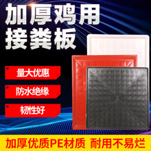 耐尔尼 鸡用接粪板鸡粪托盘养鸡育雏鸡笼用塑料漏粪板 红色60*90