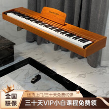 海蒂诗 蓝牙电钢琴便携式内置充电88键重锤初学者儿童电子钢琴成人专业电钢考级智能数码钢琴 B-106-配重力度-单踏-裸琴（颜色留言客服） 蓝牙版-内置电池（充电可用4小时）