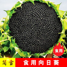 种瓜子 价格 图片 品牌 怎么样 京东商城