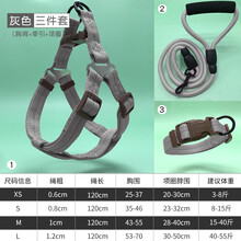泰迪狗绳小狗绳子牵引绳小型犬猫绳子挣脱家用狗狗柯基背带遛狗 三件套-灰 项圈+胸背+绳 L 建议40-70斤