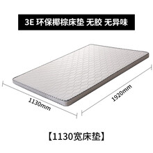 苏彩钢制双层床上下铺铁床高低床员工宿舍校用寝室带护栏带床板  单人床 椰棕床垫 适配单人床【1.2米】宽 加厚款