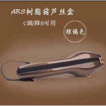 欧若拉 装葫芦丝的外壳盒子保护盒套袋子包装袋c调学生降B调配件 ABS树脂葫芦丝盒(棕褐色)