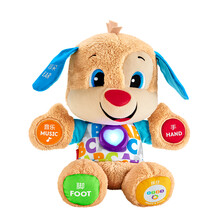 费雪 五官学习毛绒玩具婴幼儿玩具6-12-36个月宝宝玩具-学习小伙伴毛绒皮皮狗GFN95