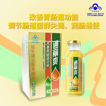 通丽爽 福生牌低聚果糖浆300g 改善胃肠道功能 调节肠道菌群失调 润肠通便