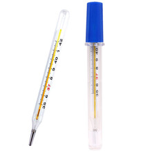 东阿阿华 玻璃水银玻璃体温计体温表家用高精准大刻度体温计成人婴儿儿童通用腋下肛门口腔型体温测量 2支（家庭备用）