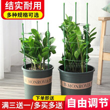 爬藤架子植物攀爬架花支架月季花架室内花卉支撑杆园艺铁线莲攀爬架爬藤支架 调节款75cm高3杆3圈(28) 中等