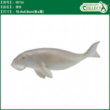 英国CollectA我你他仿真海洋动物模型玩具鲨鱼鲸鱼南北极认知合集 88766儒艮