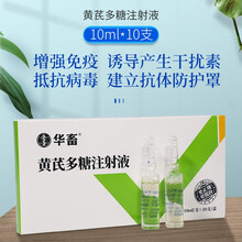 华畜 兽药兽用黄芪多糖注射液 猪药牛羊鸭鹅鸡药禽用抗病毒 黄芪多糖注射液（10ml*10支）