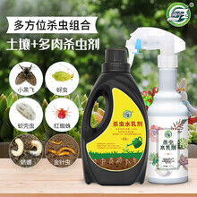 坤宁王多肉杀虫喷射剂植物盆栽土壤杀虫剂花药花草通用杀虫剂喷雾红蜘蛛蚧壳虫介壳虫蚜虫家用除虫花卉 多肉+土壤杀虫剂