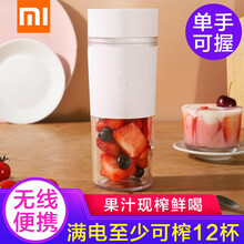 小米米家随行便携榨汁杯榨汁机便携式家用果汁机榨汁杯料理机随行杯迷你 小米米家随行便携榨汁杯