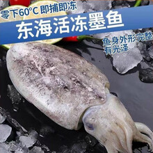 新鲜大墨鱼速冻大无贼生鲜 桃西村 3斤 1斤-1.4斤(大规格饭店专用)