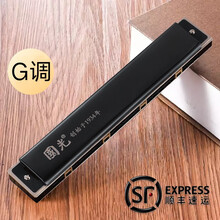 抖音同款 上海国光限量版24孔复音口琴高级专业演奏级成人初学者学生入门乐器 黑色G调