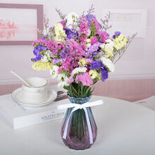 轻奢芊阙满天星干花花束真花风干文艺干花客厅摆设大束天然装饰插花小清新 六色搭配（10支） 不含花瓶