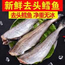 【净重无冰衣】鳕鱼新鲜冷冻无头鱼狭鳕鱼去头明太鱼海鲜深海鱼 花约朵娜 六斤装【坏单包赔】