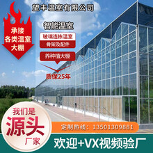 鲸榜智能玻璃科研育苗温室养殖种植农业用花卉蔬菜钢管热镀锌骨支架连体栋阳光板双薄膜遮阳大棚全套设备配件 种植大棚