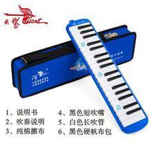 口风琴全乐理37键学生练习教学比赛儿童成人口吹琴专业乐器琴定制 37键口风琴蓝色(帆布包)+全套赠品