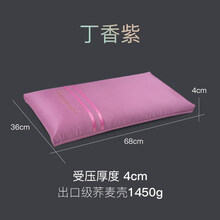 枕头低荞麦壳皮枕芯矮枕薄枕学生单人平枕头颈椎护颈枕大人成人硬枕 丁香紫(受压后4CM)