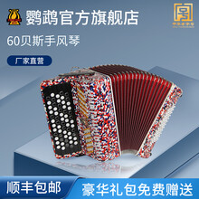 鹦鹉牌 YW-672 手风琴2排簧62键60BS 儿童成人初学考级专业演奏乐器厂家直接发货 变色红