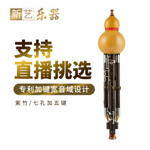 新艺乐器 葫芦丝乐器 紫竹加5键超九孔葫芦丝乐器专业演奏型C/降B调9孔宽音 成人 【天然葫芦+紫竹C调】反手加5键