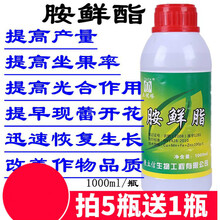 胺鲜脂 植物叶面肥da一6胺鲜酯壮苗促生长果树蔬菜增产增收抗倒伏 1000毫升