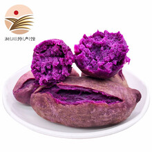 【淅川馆】新鲜紫薯 小紫薯 美味地瓜红薯 新鲜蔬菜 大果5斤装