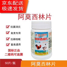 兽药鸡药禽药兽用鸡鸭感大肠杆菌宠物犬猫退烧阿莫西林片 30瓶/盒
