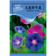 花诗诗 大牵牛花四季种易活花种子喇叭花爬藤花卉种子花籽朝颜缠绕攀爬花草种子碗公花庭院阳台盆栽家庭园艺 大花牵牛花种子 混色 5克约 50粒 厂商封装