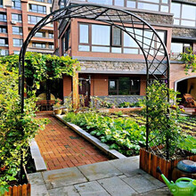 欧式拱门花架铁艺爬藤架户外别墅鲜花花门瓜果月季爬藤支架花园架 黑色宽120侧宽40高230 大