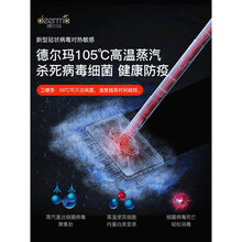 德尔玛蒸汽拖把非无线家用高温清洁机电动蒸气洗地擦地神器 标配版(2块清洁布+1块香薰片)