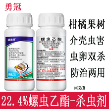 勇冠 满迪洛 22.4%螺虫乙酯 螺虫乙酯乙脂介壳蚧壳虫白粉虱梨木虱茶小绿叶蝉蚜虫柑橘果树杀虫剂 100克/瓶*3瓶