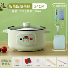 FEDAIR全自动电炖锅家用多功能煮粥神器2人3人快速熬煮粥煲粥稀饭锅 薄荷绿【智能款】24cm麦饭石 +刀具4件套